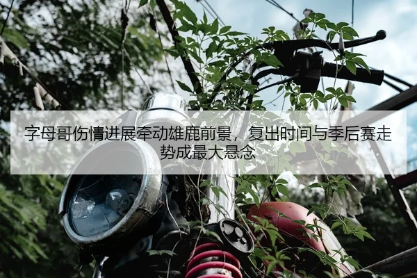 字母哥伤情进展牵动雄鹿前景，复出时间与季后赛走势成最大悬念